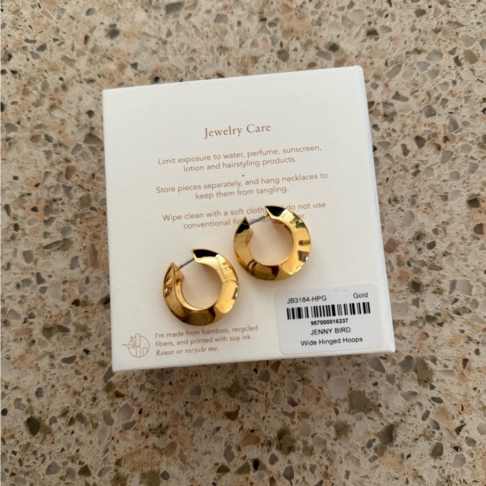 Jenny Bird Wide Hinged Hoop Earrings - Picture 7 of 8